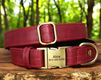 Personalized Padded Leather Dog ID Collar | Metal Buckle, Small Medium Dogs