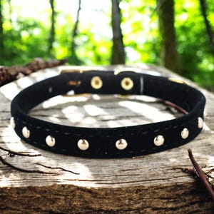 Cat Collar|Stylish Adjustable Safety Collar for Kittens & Small Dogs|Perfect Pet Lover Gift for Chihuahua Owners