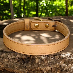 Puede incluir: Un collar de perro de cuero marrón claro con herrajes de latón. El collar tiene un borde cosido y un acabado liso.