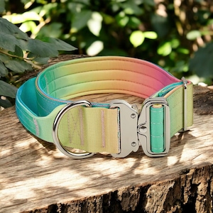 May include: A colorful dog collar with a rainbow ombre design. The collar is made of durable nylon webbing and features a silver metal buckle and D-ring.
