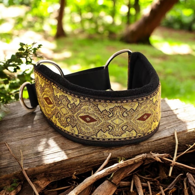 Puede incluir: Un collar de perro negro y dorado con un ribete de tela estampada. El collar tiene dos anillas en D plateadas.