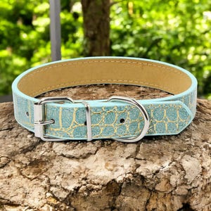 May include: A light blue leather dog collar with a gold crocodile pattern and silver buckle and D-ring.