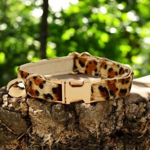 Puede incluir: Un collar de gato marrón y dorado con estampado de leopardo y una campanita dorada. El collar tiene una hebilla dorada.