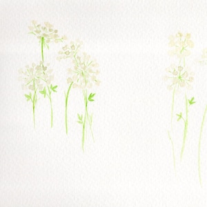 Druckbare Aquarell Dillblüten