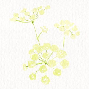 Druckbare Aquarell Spitze