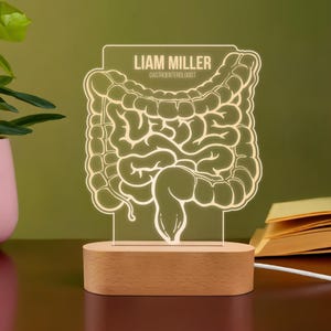 Personalized Gastroenterology Night Light - Custom LED Doctor Lamp, Engraved Medical Gift, Unique GI Doctor Office Decor