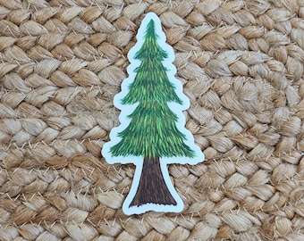 Evergreen Tree Vinyl Sticker – Hand Illustrated Pine