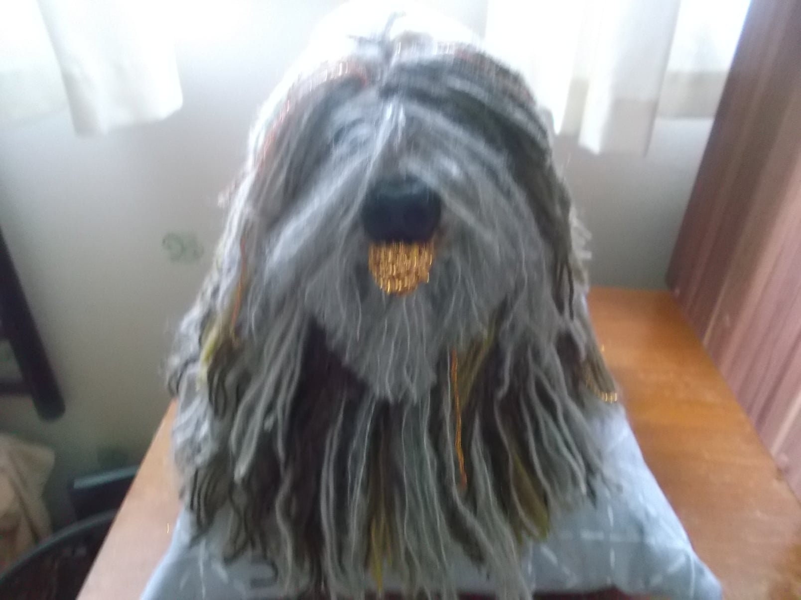 Fako puli 2025