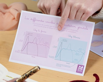 Illustration | The curves of genital arousal | Educational diagram for sex education | Sexologists | Sex therapists