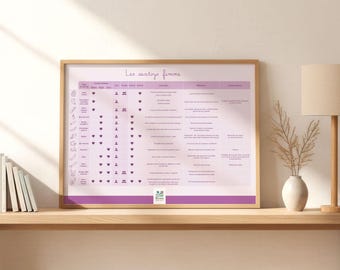 Poster Charts of Different Types of Sex Toys | Double-Sided | Educational Material for Sex Education | Sexologists