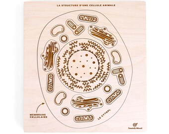 Educational wooden puzzle - Animal cell structure