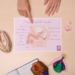 Educational Sex Tool