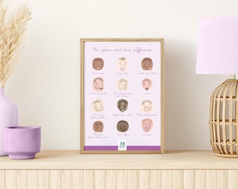 Educational poster | Illustration of different penis shapes | Sex education diagram | Healthcare professionals | Educators