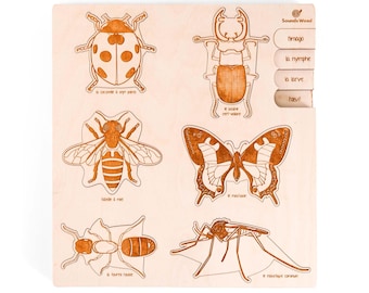 Educational wooden puzzle - The stages of insect development