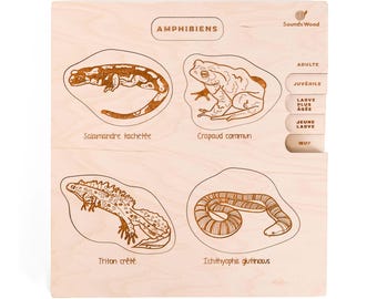 Educational wooden puzzle - Amphibian developmental stages
