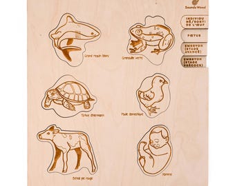 Educational wooden puzzle - The developmental stages of vertebrates
