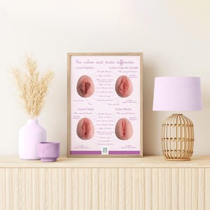 Anatomische Darstellung | Verschiedene Vulvaformen | Aufklärungsposter | Sexualaufklärung | Fachkräfte im Gesundheitswesen | Pädagogen