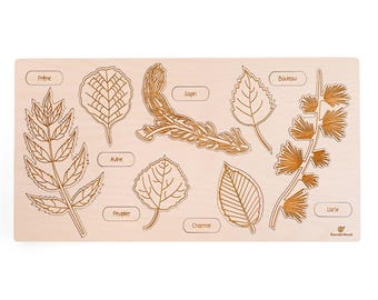 Educational wooden puzzle - Tree leaves and fruits model II