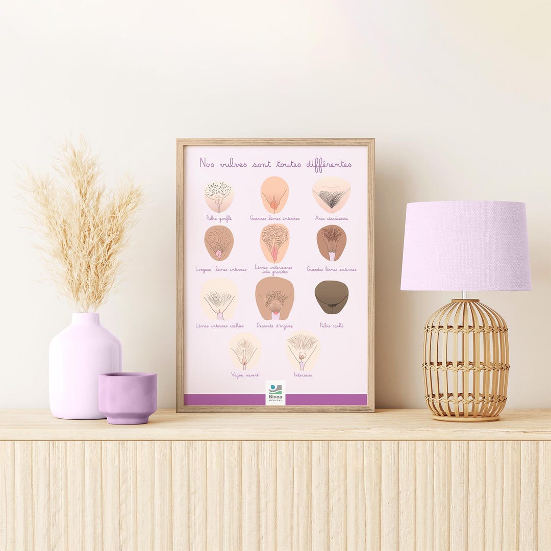 Educational Poster Illustration Of Different Vulva Shapes Sex Educational Poster Illustration Of Different Vulva Shapes Sex