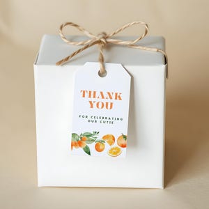 Little Cutie Baby Shower Favor Tags | Orange Citrus Printable Tag | Gender Neutral Thank You Tag | Editable Template | Baby Shower Decor