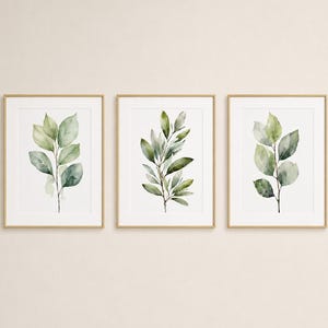 Puede incluir: Un conjunto de tres láminas de arte mural enmarcadas, cada una con una ilustración en acuarela de hojas verdes sobre un fondo blanco. Las láminas están en marcos de madera clara y muestran follaje botánico en varios tonos de verde.