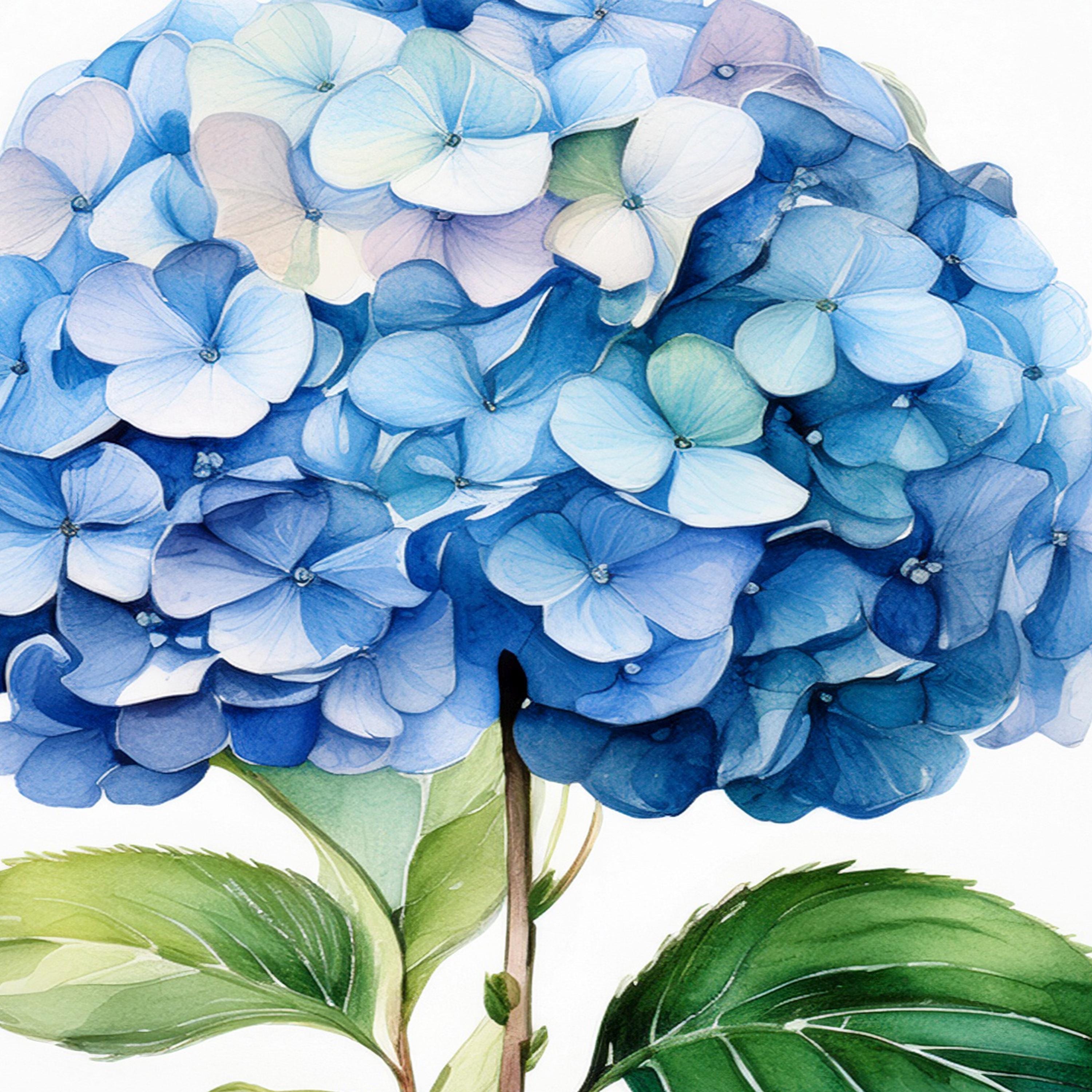 アジサイの水彩画プリントセット：ピンク、ブルー、マルチカラーの花の