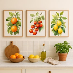 Puede incluir: Tres impresiones enmarcadas en acuarela de frutas: naranjas, tomates y limones. Las impresiones están en marcos de madera clara. Debajo, un cuenco de madera contiene naranjas, un cuenco de cerámica contiene limones y una maceta de terracota contiene albahaca.