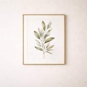 Op de afbeelding: Een ingelijste botanische print met een aquarel illustratie van een bladrijke tak. De bladeren zijn in verschillende tinten groen en grijs, met een lichte achtergrond. De lijst is goudkleurig.