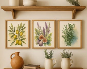 Mediterranean Kitchen Prints: Olive, Fig, Rosemary Watercolor Art (Digital Download)