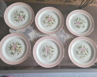May include: A set of six round ceramic plates featuring a white center with a floral bouquet illustration in shades of pink, yellow, and green. Each plate has a wide, solid light pink border and a thin gold-toned rim along the outer edge.