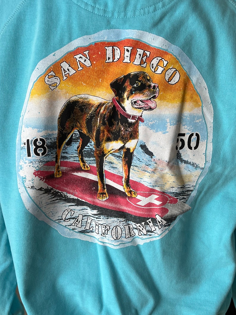 Vintage Pullover Hooded Sweatshirt San Diego image 5