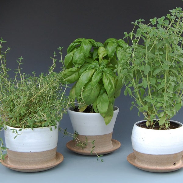 Ceramic Flower Pots - Set of 3 - Planters - Great for an Herb or Succulent Garden - Flowerpot
