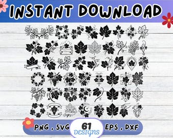 Grapes Leaves SVG Bundle, Grapes Leaves Cut File for Cricut Silhouette | Sublimation PNG, Stencil, Wall Art, Paper Cut