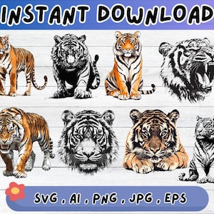 Tiger SVG bundle, Tiger Clipart Design, Cut Files For Decal, Sublimation Vector for Wall Art Decor, Png