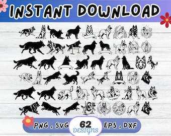 Zestaw SVG z psem rasy belgijski tervuren, plik do wycinania sylwetki psa rasy belgijski tervuren do Cricut | Sublimacja PNG, szablon, grafika ścienna, wycinanka