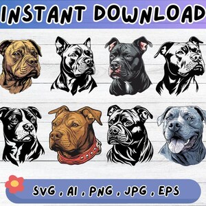 Pitbull SVG bundle, Pitbull Clipart Design, Cut Files For Decal, Sublimation Vector for Wall Art Decor, Png