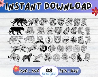 Tiger SVG-paket, Tiger Cut-fil för Cricut Silhouette | Sublimering PNG, Schablon, Väggkonst, Pappersklipp