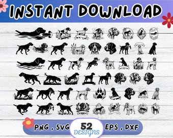 German Wirehaired Pointer Dog SVG Bundle, Gwp Dog SVG Cut File for Cricut Silhouette | Sublimation PNG, Stencil, Wall Art, Paper Cut
