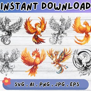 Könnte beinhalten: Digitaler Download mit acht Phönix-Illustrationen. Einige sind schwarz-weiße Strichzeichnungen, andere in Orange, Rot und Gelb. Der Text "INSTANT DOWNLOAD" steht oben, und "SVG, AI, PNG, JPG, EPS" steht unten. Ideal für digitale Kunstprojekte.