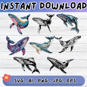 Whale SVG bundle, Whale Clipart Design, Cut Files For Decal, Sublimation Vector for Wall Art Decor, Png