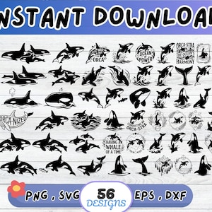 Orca Whale SVG Bundle, Killer Whale SVG, Cut File for Cricut Silhouette | Sublimation png, Stencil, Wall Art, Paper Cut