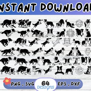 Puede incluir: Gráfico de descarga digital con 64 diseños de Border Collie en blanco y negro. Los diseños incluyen varias poses del perro, incluyendo correr, saltar y retratos. El texto "INSTANT DOWNLOAD" está en la parte superior y "PNG, SVG, EPS, DXF" en la parte inferior.