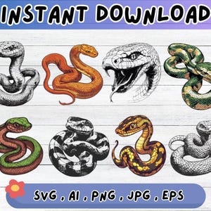 Snake SVG bundle, Snake Clipart Design, Cut Files For Decal, Sublimation Vector for Wall Art Decor, Png
