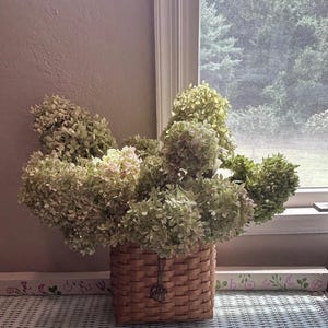 May include: A square woven basket made of light brown reeds holds a large, dense arrangement of dried hydrangea flowers. The flowers are primarily pale green and cream in color, with a small, dark metal charm hanging from the front of the basket.