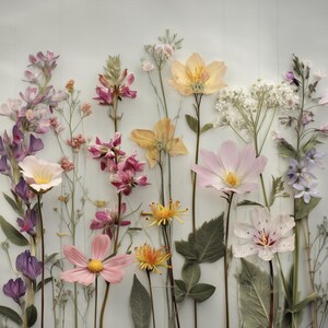 Descarga digital de flores silvestres botánicas vintage: impresión artística de flores prensadas, decoración de pared rústica estilo cottagecore, imprimible de naturaleza primaveral