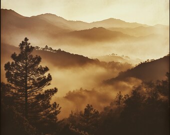 Golden Mountain Mist Landscape – Serene Nature Photography Print – Foggy Hillside Wall Art – Tranquil Forest Digital Download