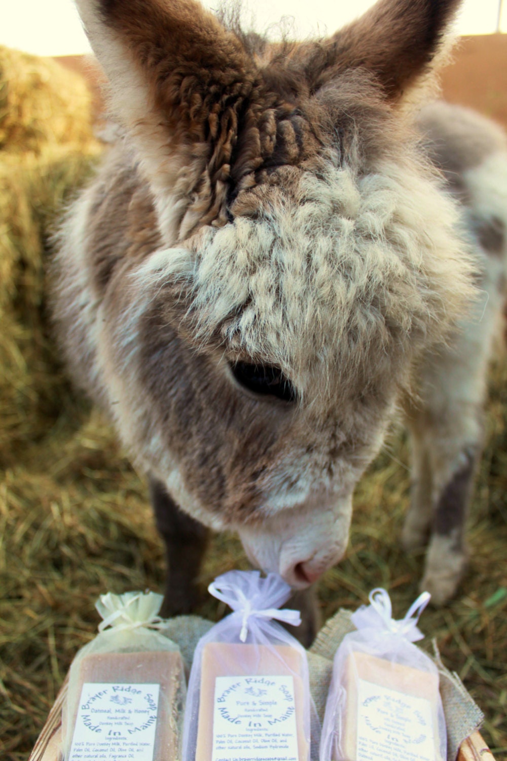 Oatmeal, Milk & Honey Scented  With Ground Oatmeal Handcrafted Donkey…
