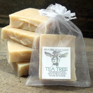 4 Bars Handcrafted Tea Tree Goat Milk Soap, Made in Maine,  Self Care, Cold Process Soap, Tea Tree Essential Oil