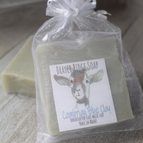 New Cambrian Blue Clay,  Handcrafted Goat Milk Soap ,Made in Maine, Bath & Body Soap, Self Care, Facial Soap, Cold Process Soap,