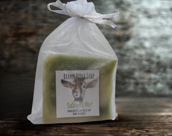 Handcrafted Eucalyptus  Mint Goat Milk Soap, Herbal Bath Bar